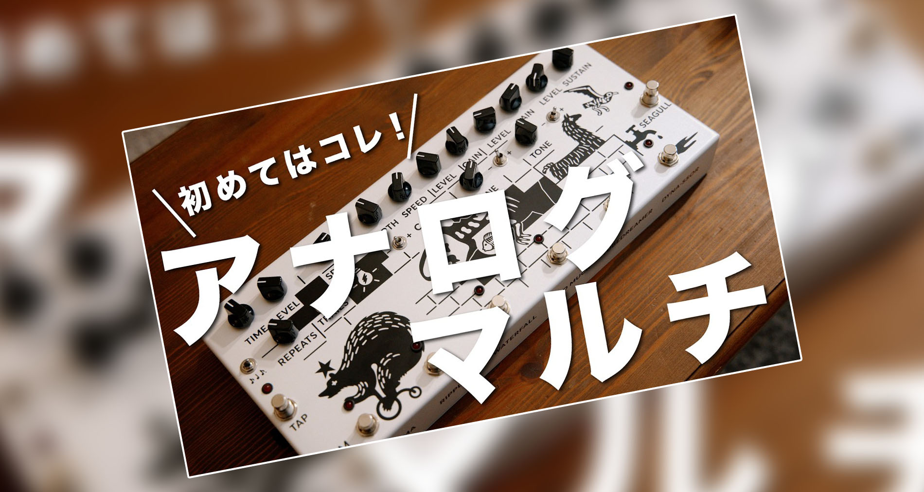 【JAM PEDALS】PinkFlow製品紹介動画情報【Pedaltic】