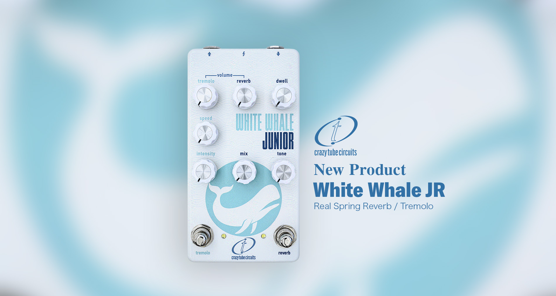 Crazy Tube Circuitsより【White Whale JR】が新登場！