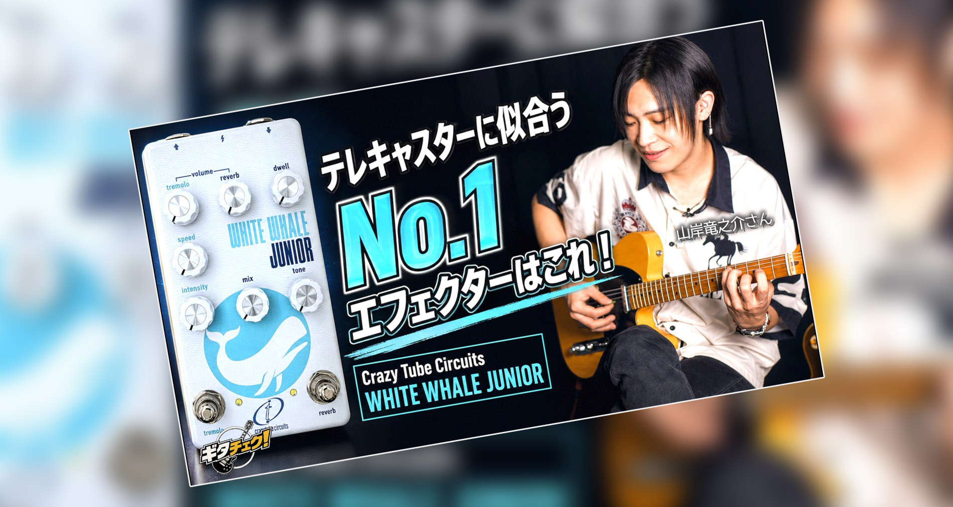【Crazy Tube Circuits】White Whale JR製品紹介動画情報【ギタリスト：山口和也氏】【ゲスト：山岸竜之介氏】